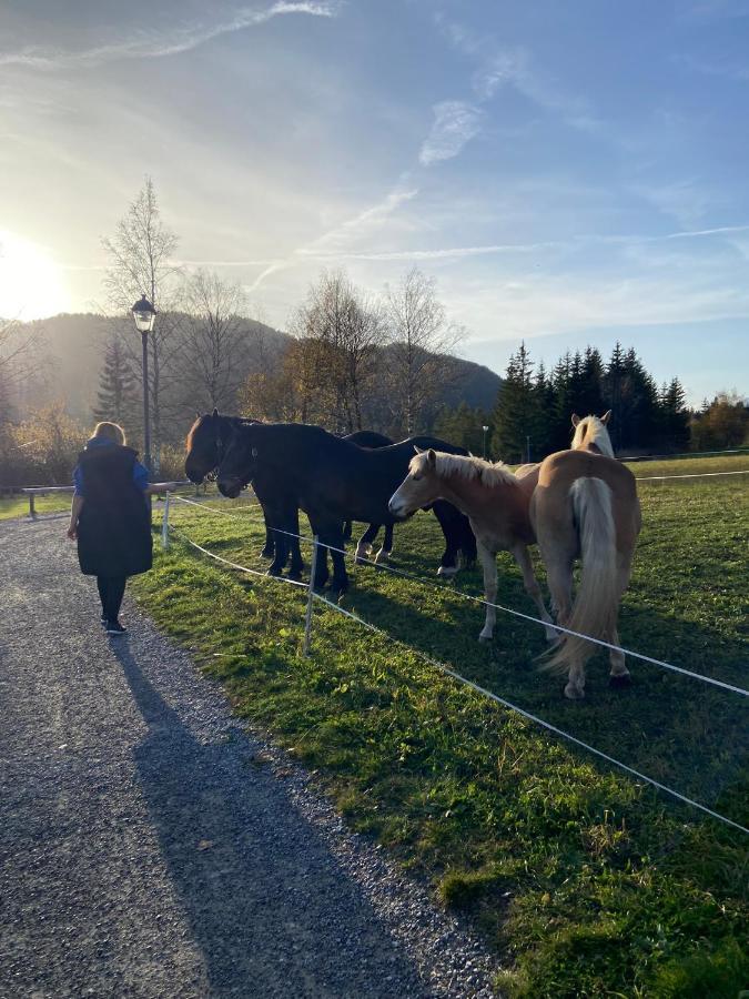 Fewo Sonnenschein Weissbriach Dış mekan fotoğraf